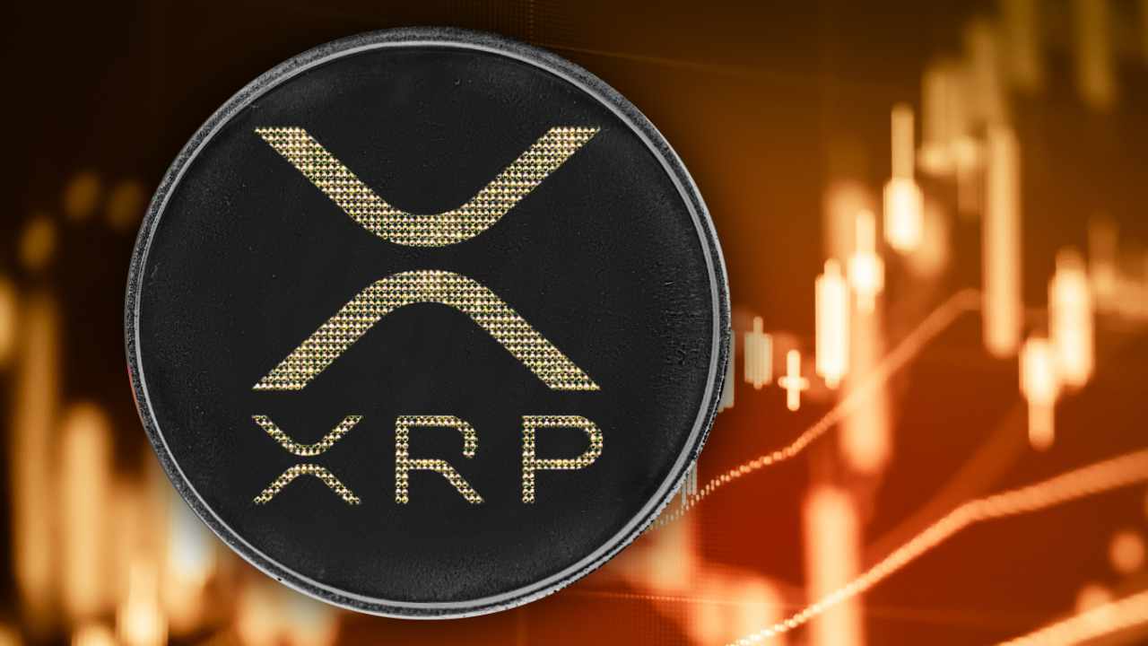 German Venture Capital Company CEO Claims XRP Could Become World Reserve Currency