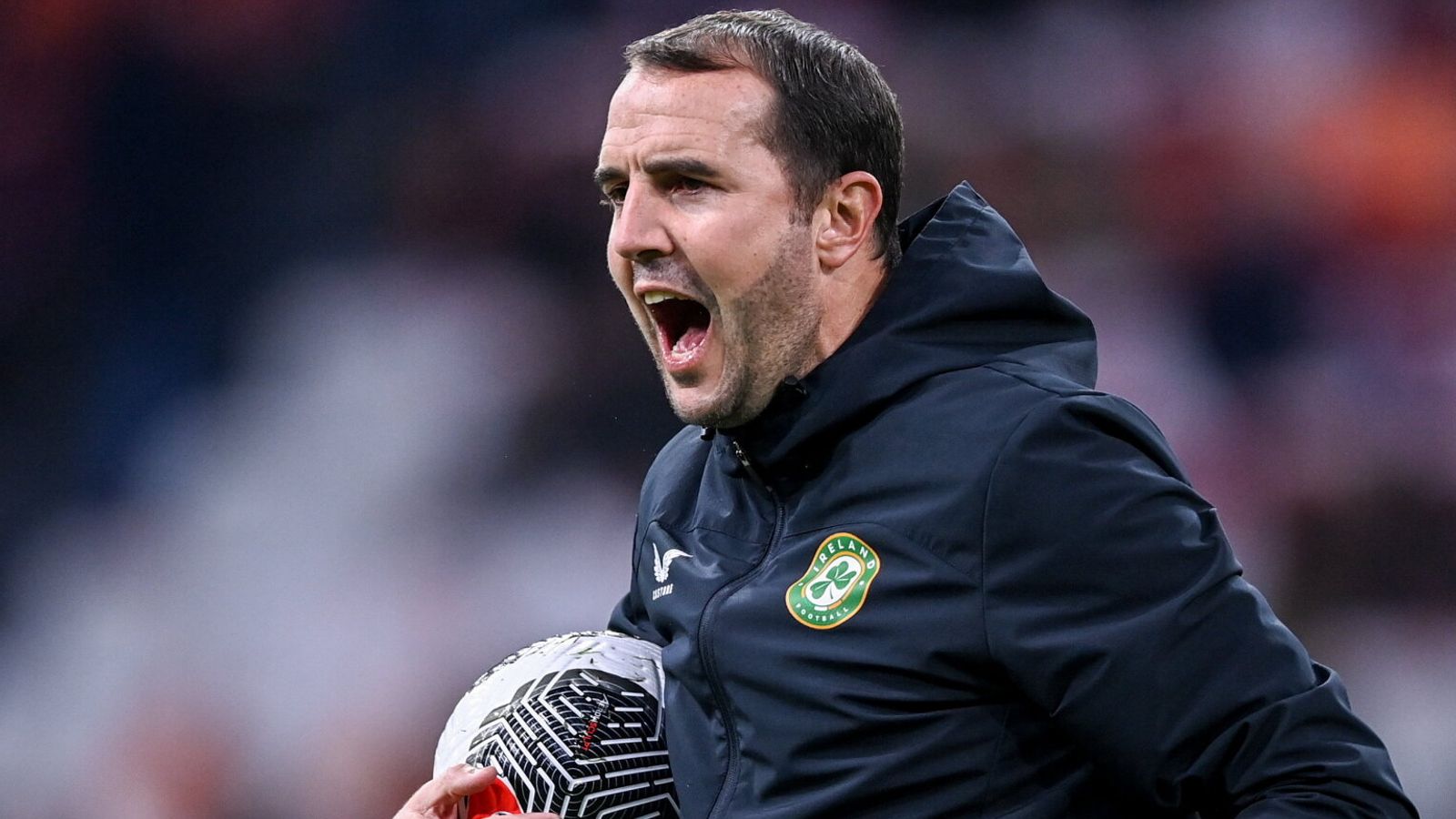 O'Shea appointed interim head coach of Ireland