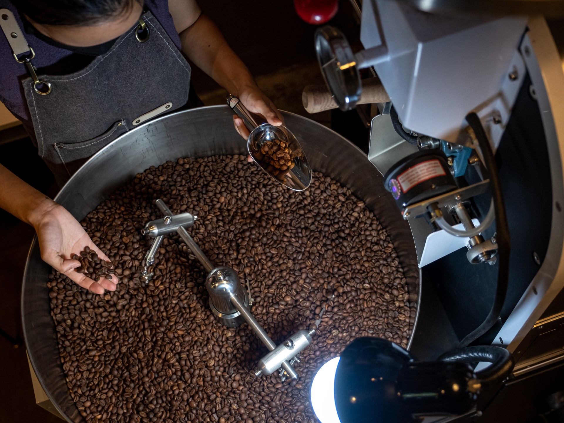 As climate change threatens Arabica beans, can quality Robusta save coffee?