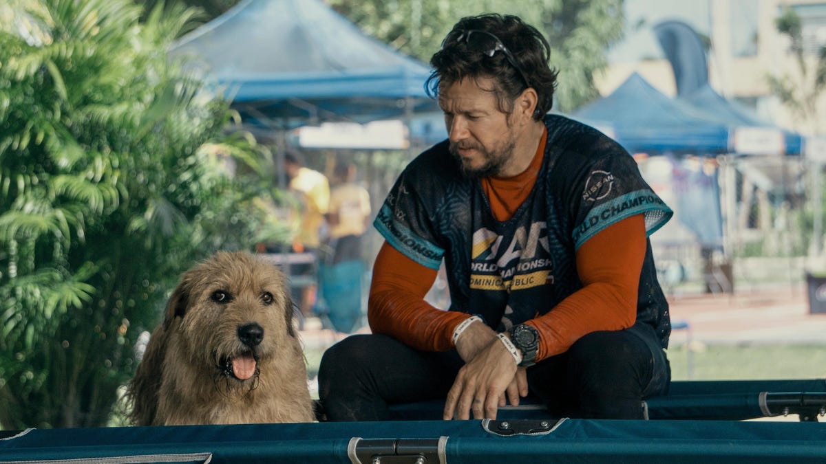 Arthur The King review: Mark Wahlberg's dog movie doesn't have much bite
