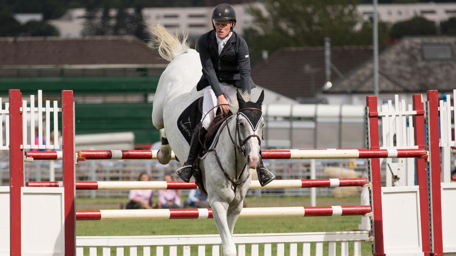 Showjumper suspended from competing over horse welfare concerns