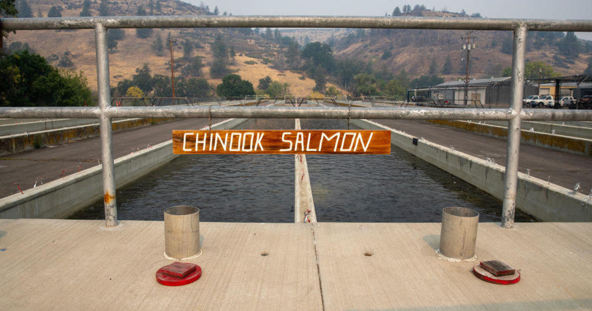 Massive dam removal project hopes to restore salmon to California river