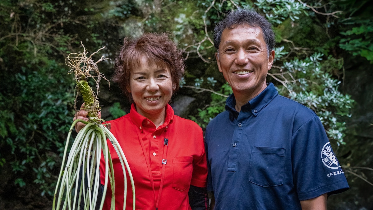 This couple quit the city to grow wasabi in Japan's mountains