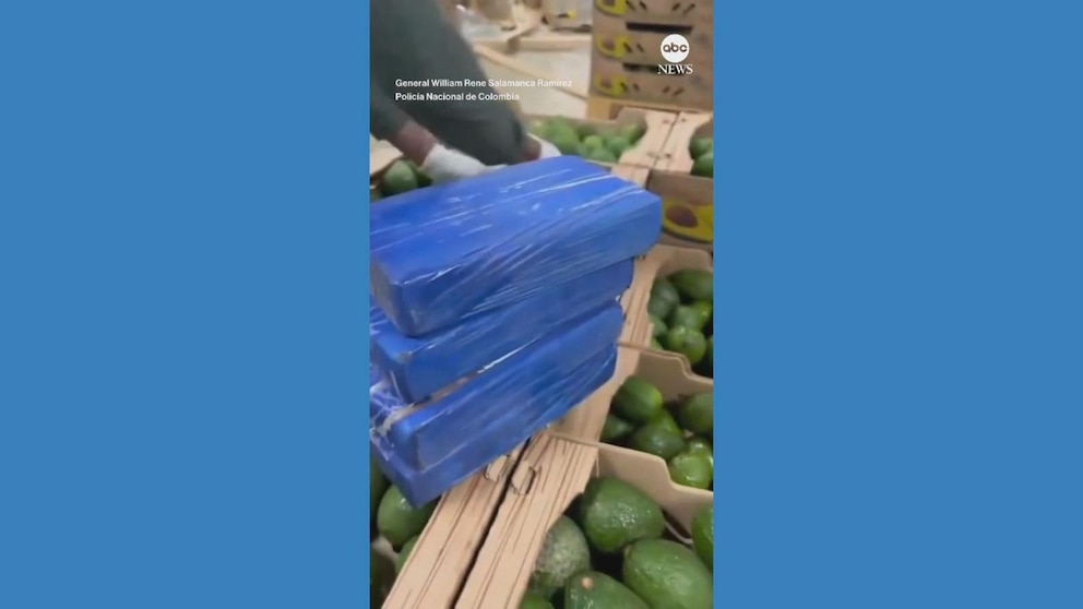 WATCH: Police in Colombia seize nearly 2 tons of cocaine hidden in crates of avocados