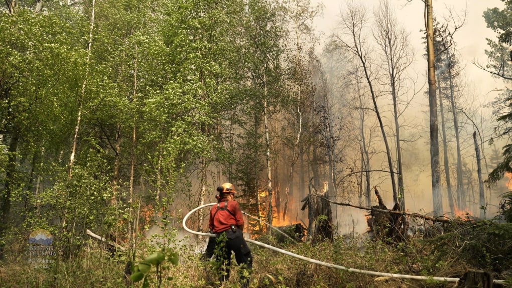 B.C. providing update on wildfire, drought preparations Monday