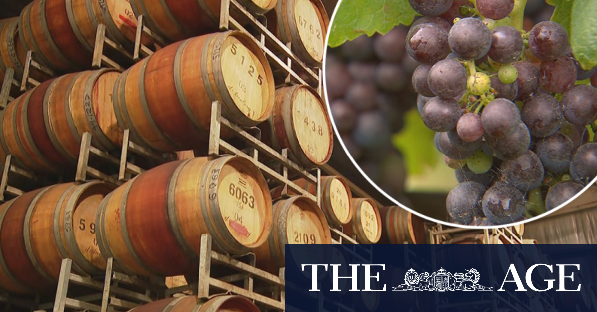 China lifts Aussie wine tariffs, reopening $1 billion market