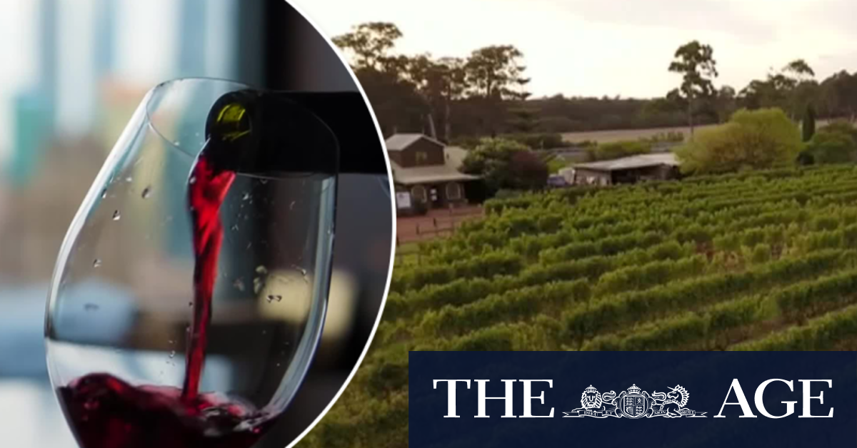 Chinese ministry recommends dropping tariffs on Aussie wine