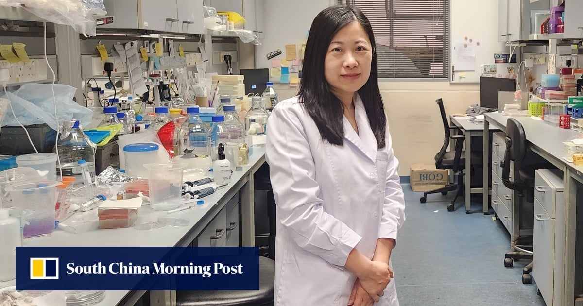 Hong Kong scientists aim to cure ovarian cancer by capturing cells spreading to other organs