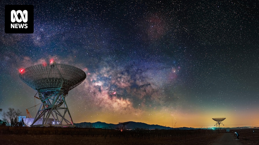 If aliens arrive, how will we talk to them? These experts have some answers
