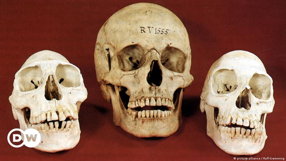 Legacy of colonialism: How Germany is handling human remains in museum collections