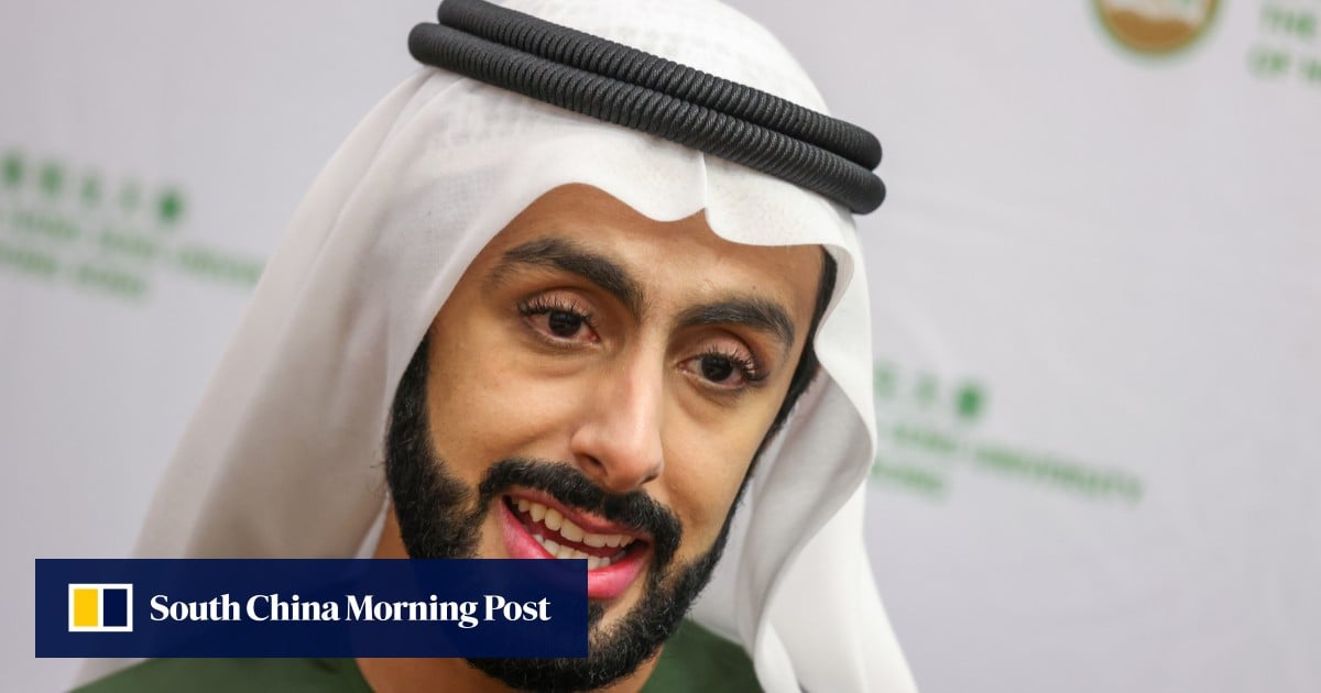 Little-known Dubai prince who made a splash with US$500 million family office plan in Hong Kong postpones its opening at eleventh hour
