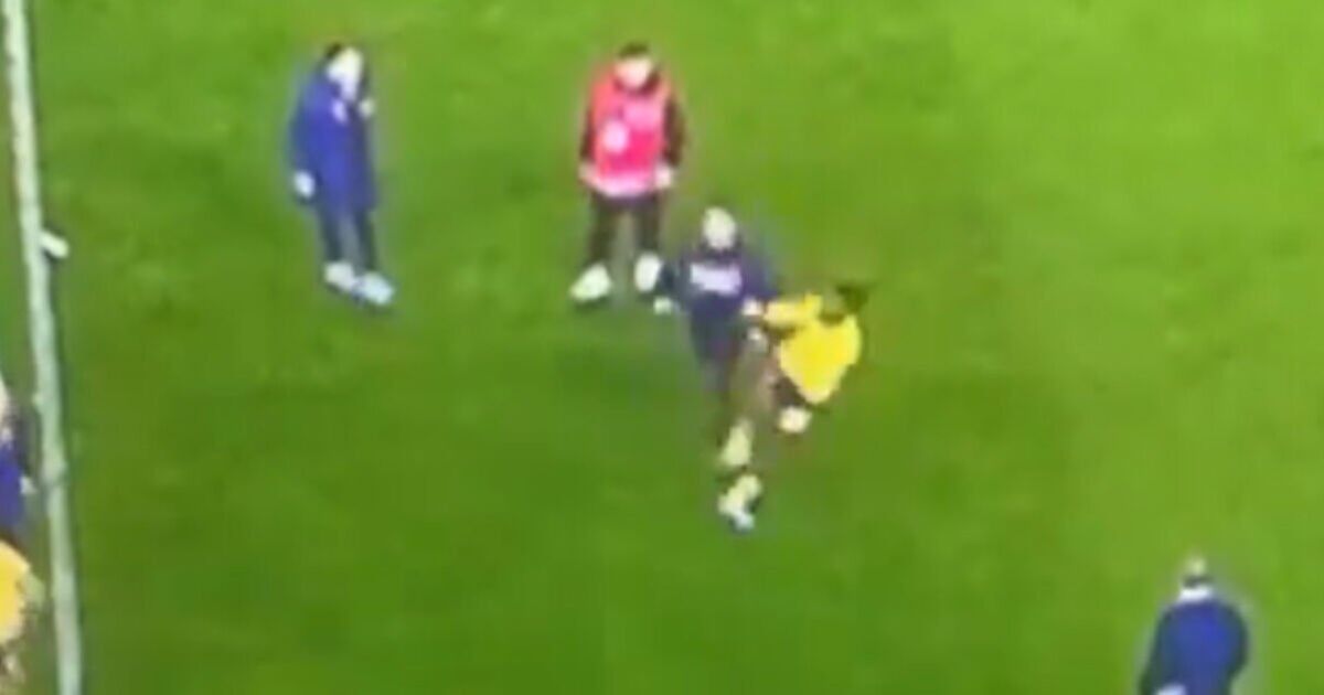 Michy Batshuayi attempts to spinning kick a fan in the head after Turkish pitch stormed