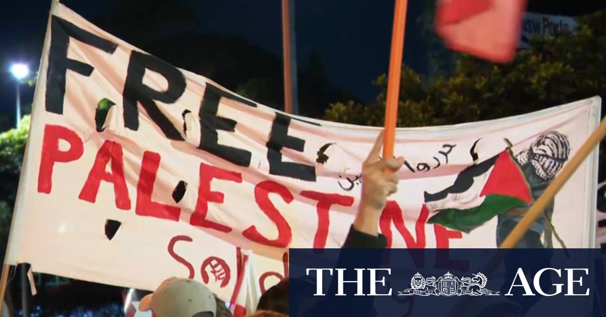 Nineteen charged over pro-Palestine protest in Sydney