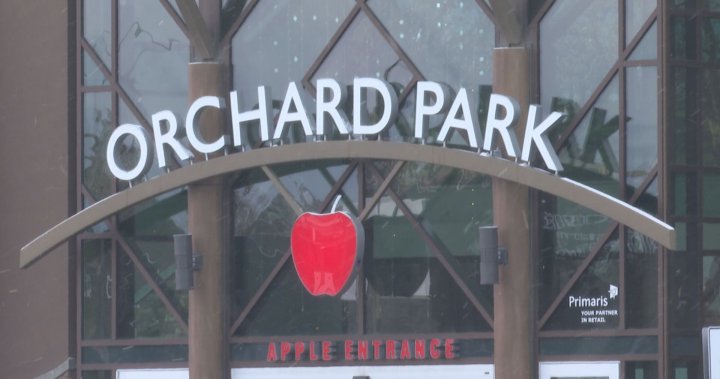 One in custody after Orchard Park Mall threat report