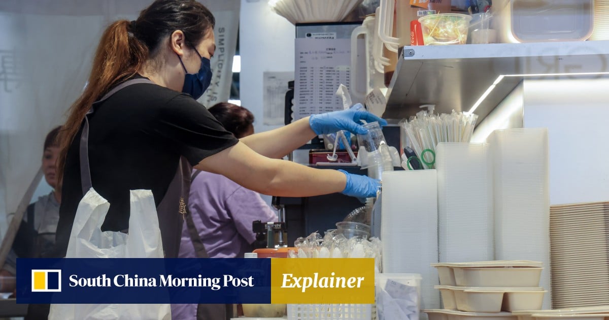 Plastic not fantastic: is Hong Kong ready for ban on throwaway items starting next month?