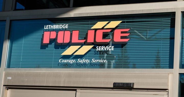 Police search for witnesses after dog killed in Lethbridge hit and run