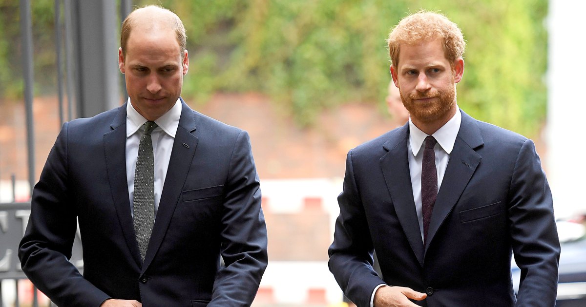 Prince William and Prince Harry Will Appear Separately at Diana Award Event