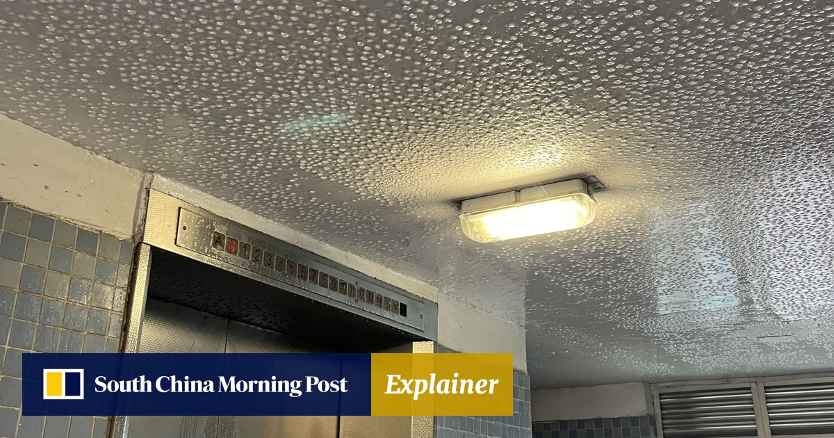 Rising damp: how do Hongkongers cope when the humidity climbs? The Post tells you how to beat it down