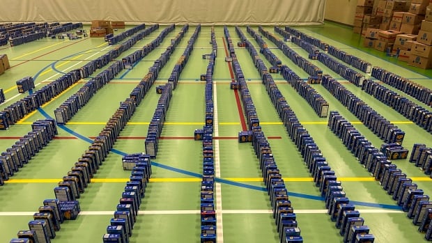 Students, food bank in Battlefords, Sask., attempt world record mac and cheese box domino topple