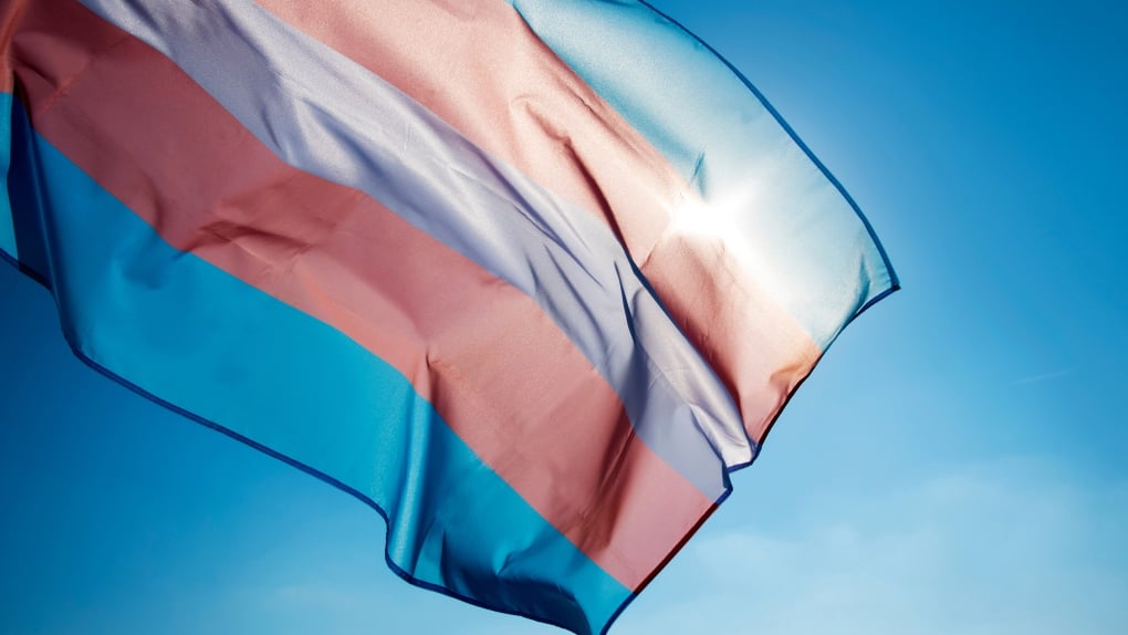 Sunday marks the International Transgender Day of Visibility. Here's what you should know