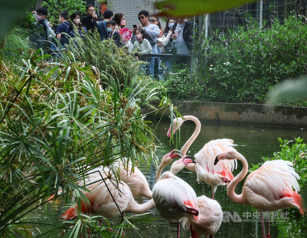 Taipei Zoo to hike ticket prices from April 1