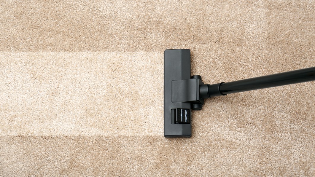 The best carpet cleaners of 2024