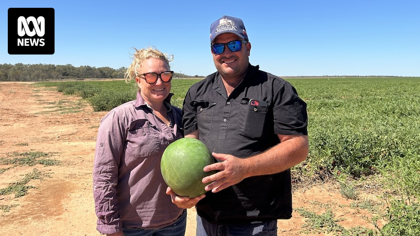 Young family turns table grape property into watermelon farm in Far West New South Wales