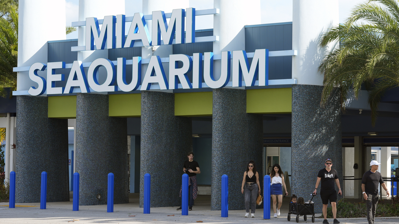 Miami-Dade County moves to evict Miami Seaquarium