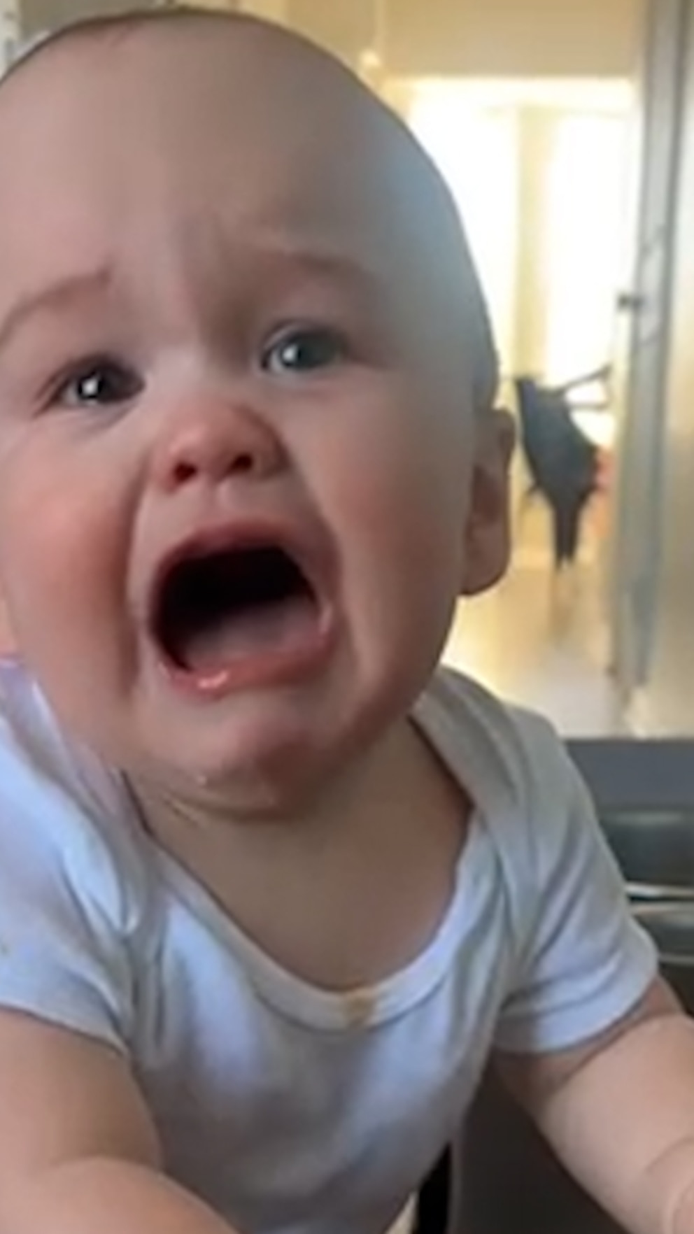 WATCH: Baby has precious reaction to not being allowed to try dog's food