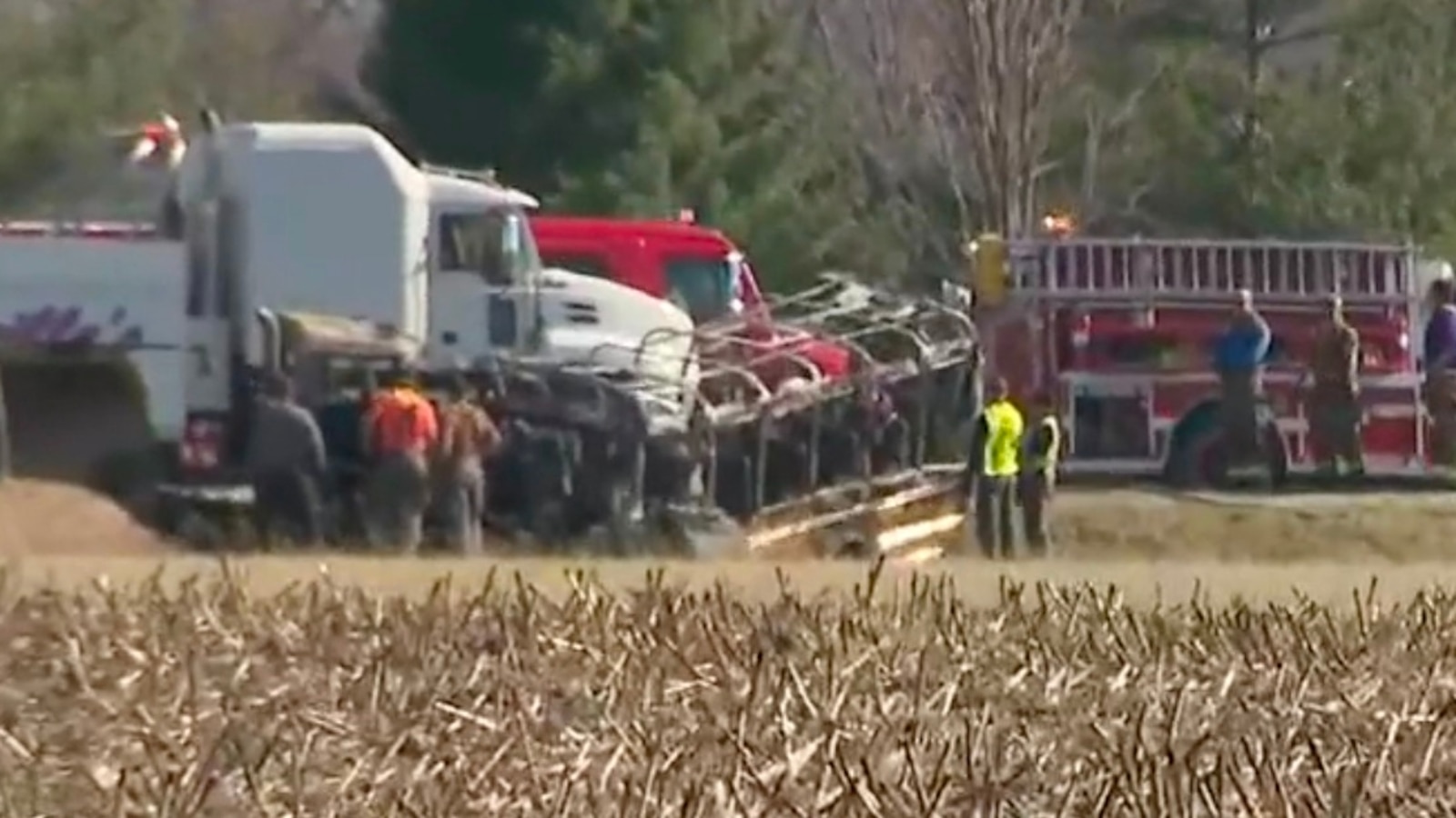 3 children, 2 adults dead after school bus and semi-truck collide in Illinois: Police