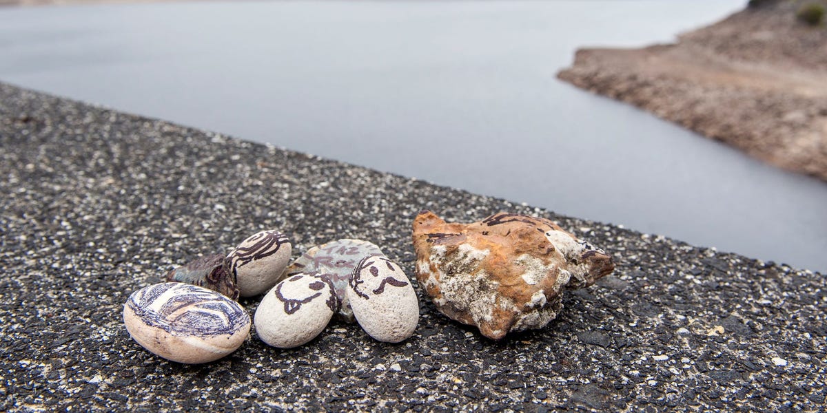 South Koreans are dealing with burnout and loneliness by getting pet rocks