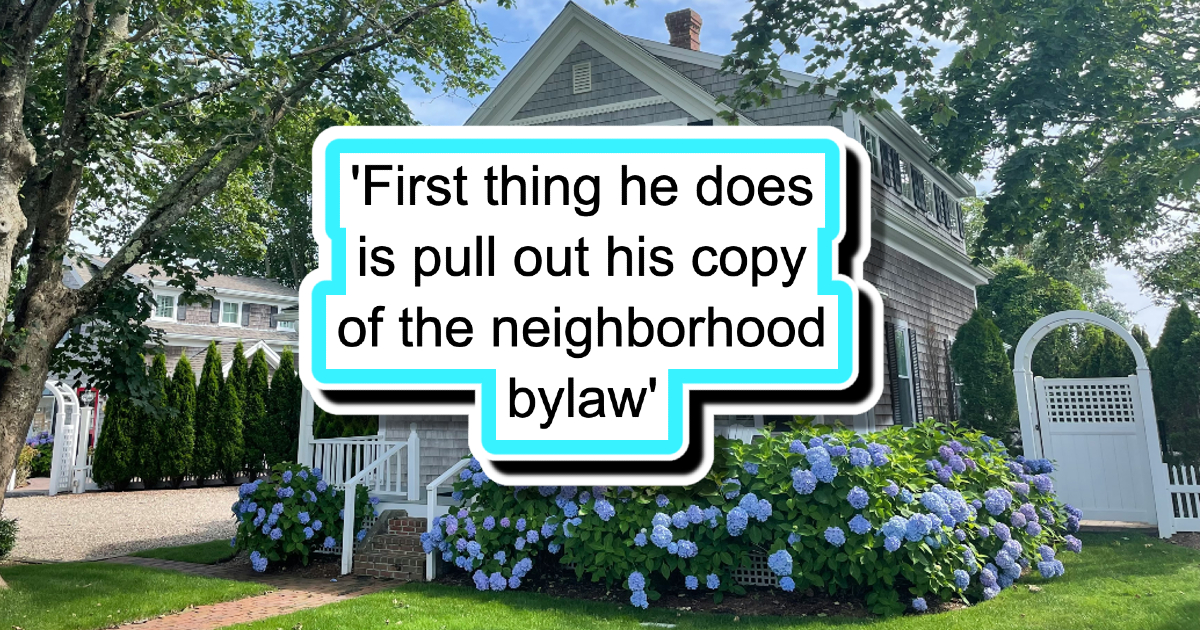 'That authority is... telling him what to do on his own property': Homeowner plants sign to spite nosy local HOA