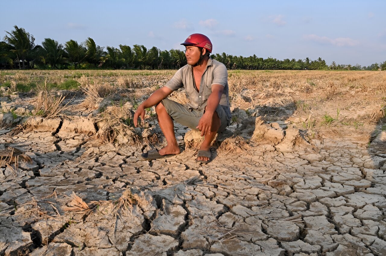 Vietnam farmers struggle for fresh water as drought brings salinization