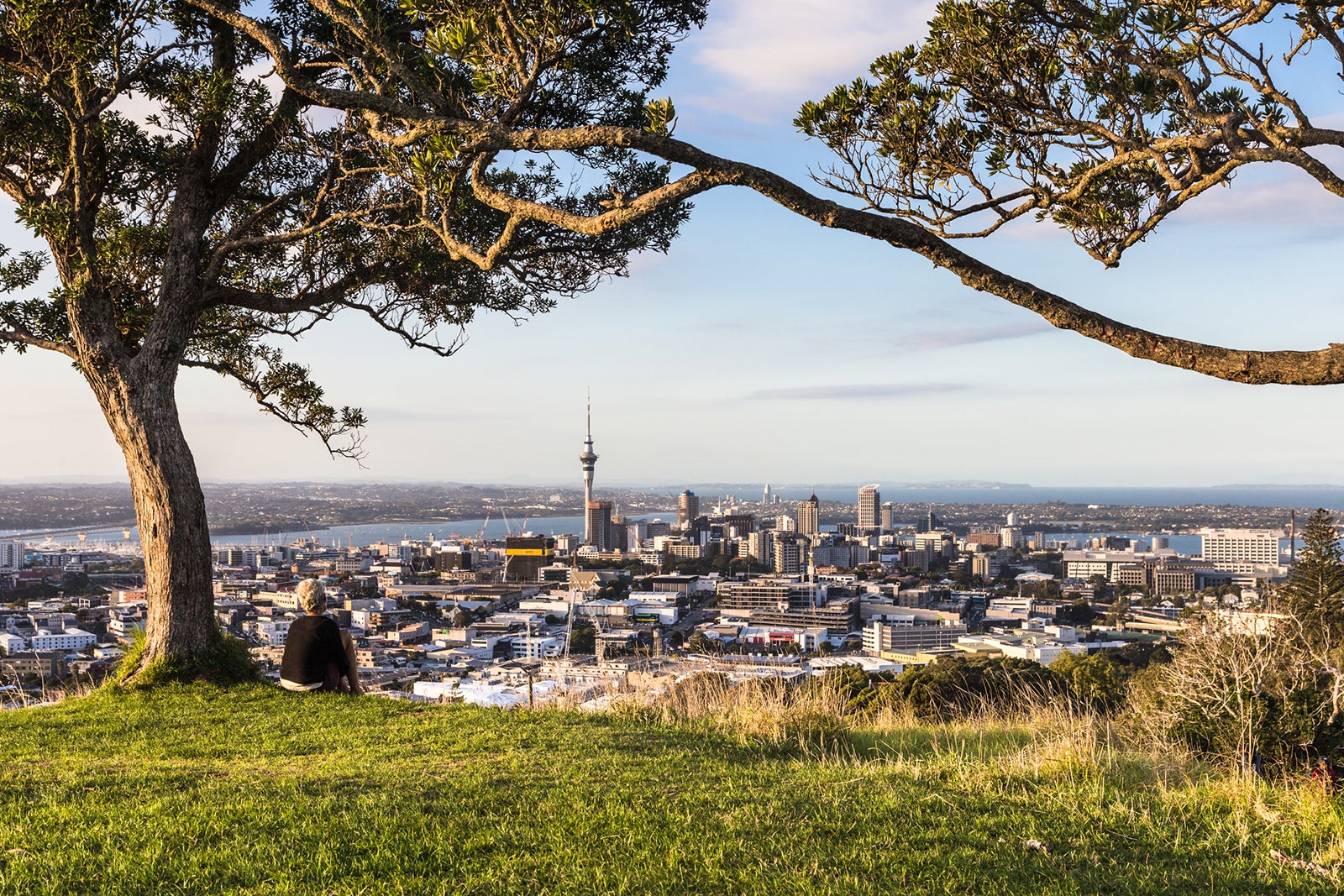 Book now: Open business-class award availability to New Zealand this spring