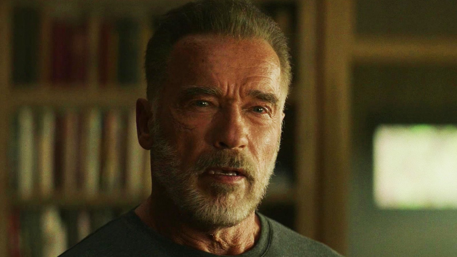 The Only Arnold Schwarzenegger Movie That Has A Perfect Rotten Tomatoes Score