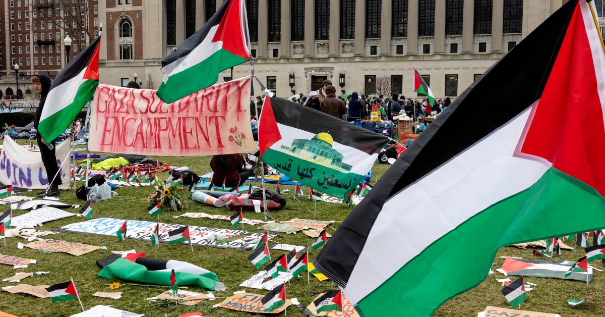 Pro-Palestinian Encampments Take Over American College Campuses