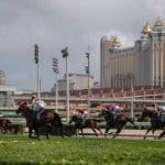 34 racehorses from Macau Jockey Club in quarantine in Zhuhai