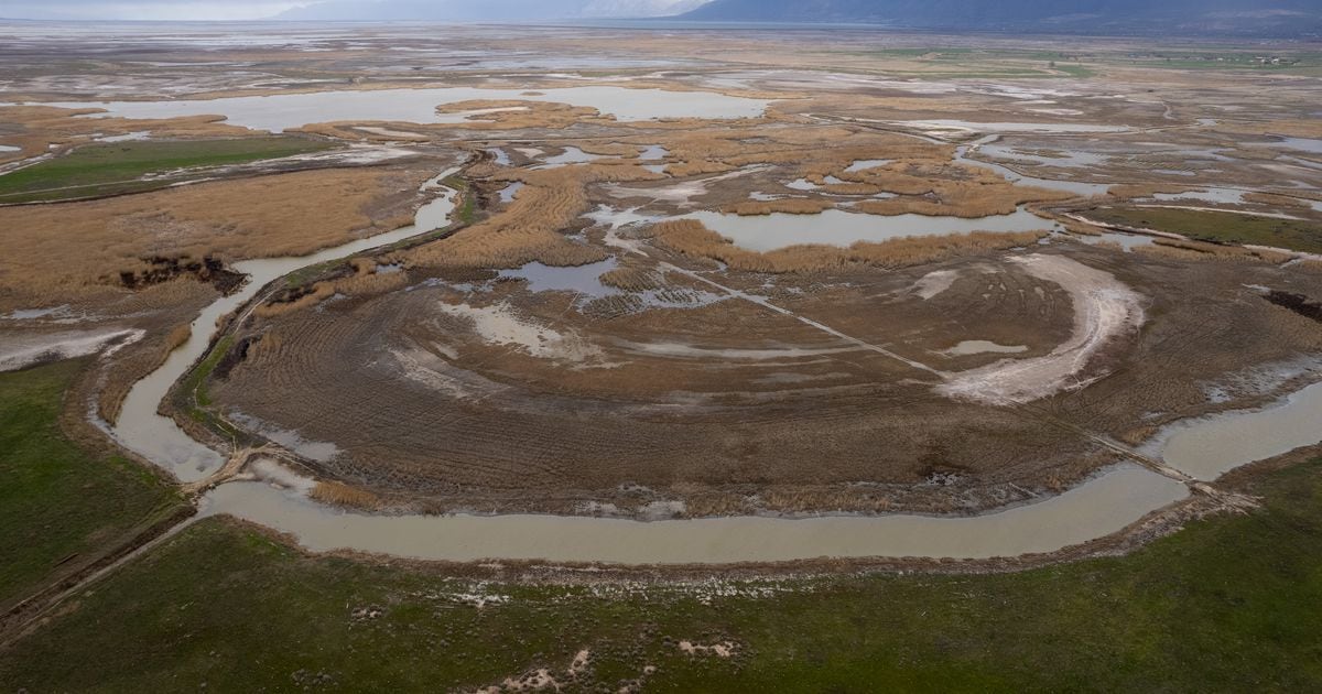 Great Salt Lake wetlands endangered by inland port project, environmentalists say