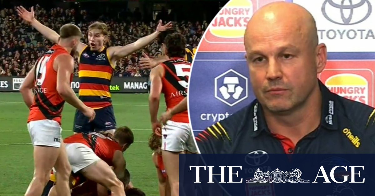 AFL admits controversial call costs Adelaide a chance at winning