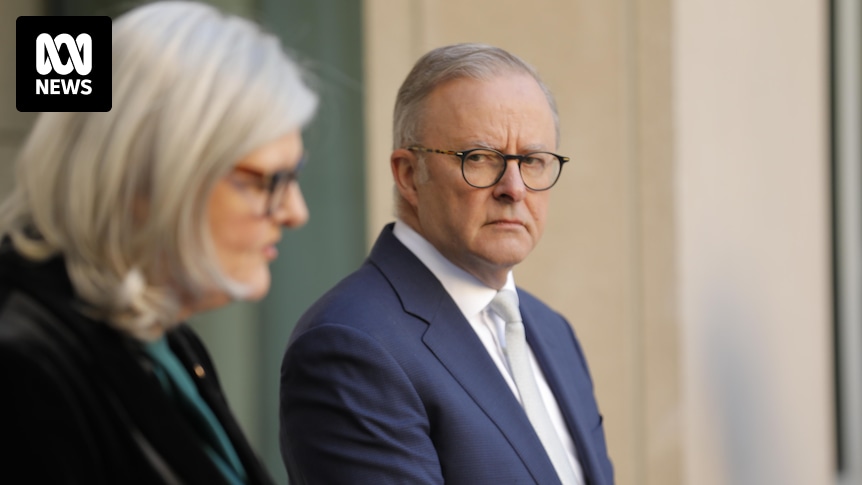 Albanese has made a statement in choosing Sam Mostyn as governor-general, but he could have been bolder