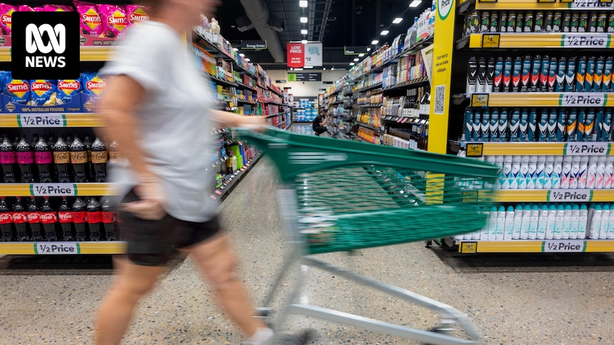 Aldi has 'no current plan' to come to Tasmania, CEO tells senate inquiry into supermarket pricing