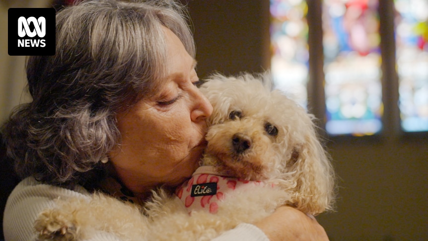 As pets become much-loved family members, the way we say goodbye has intensified