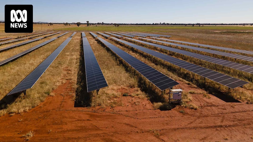 Australia's first solar garden sprouts in Grong Grong, taking the renewables boom to the community