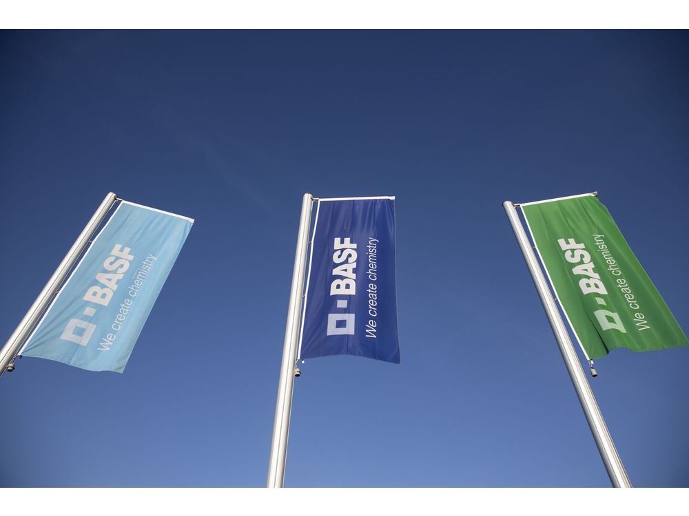 BASF May Cut all Jobs at Battery Materials Plant Over Red Tape