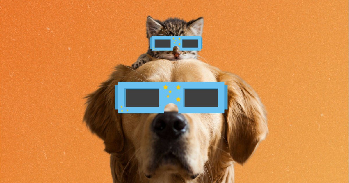 How to Keep Your Pets Safe During the Solar Eclipse