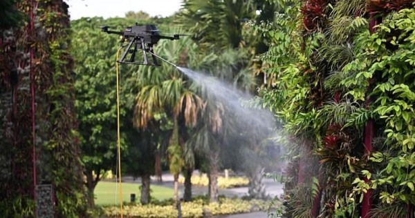 Clean and green: Drones hose down Supertrees, water and fertilise plants at Gardens by the Bay