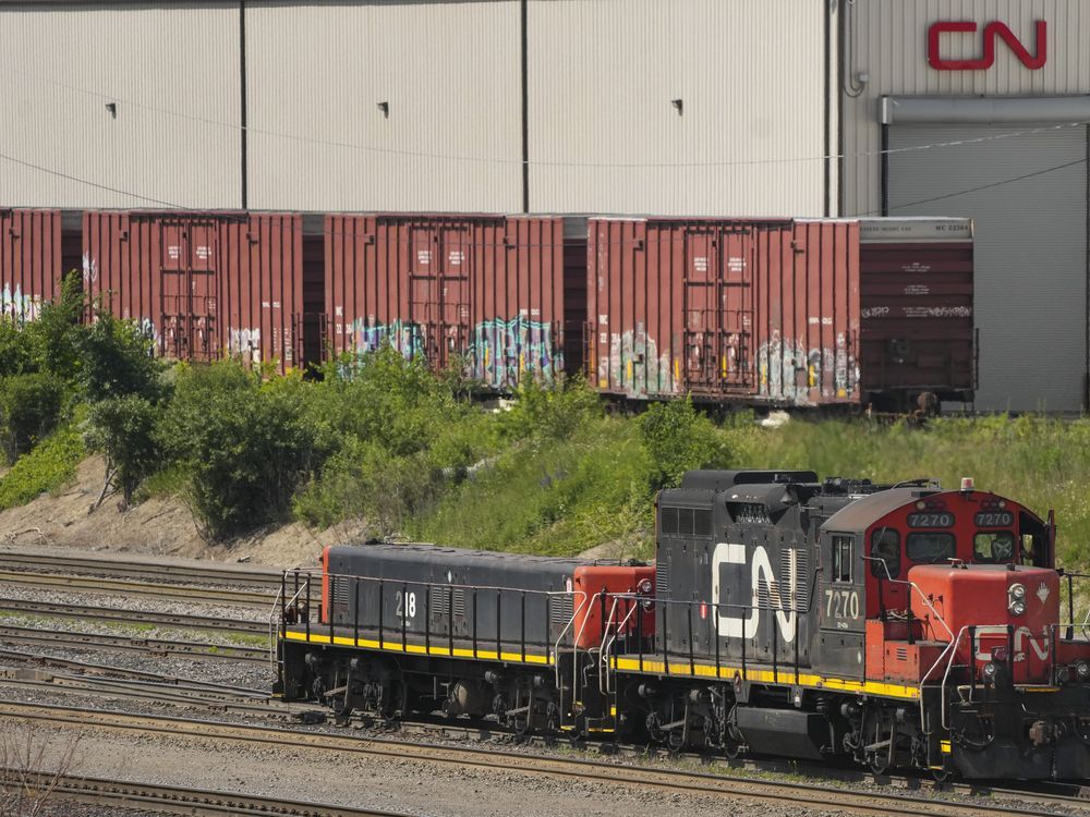 CN Rail on track for growth this year, despite Red Sea shipping obstacles: CEO