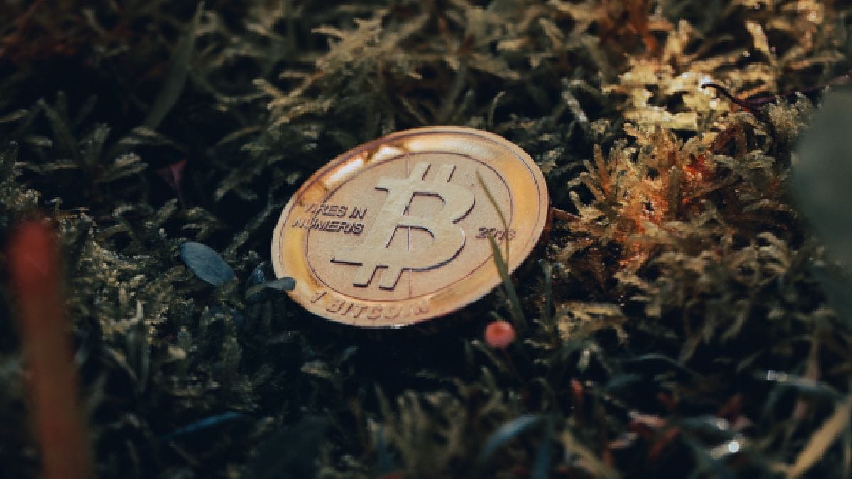 Crypto Price Today: Bitcoin Retains Value Above $28,000 Despite Losses Hitting ETH, BNB
