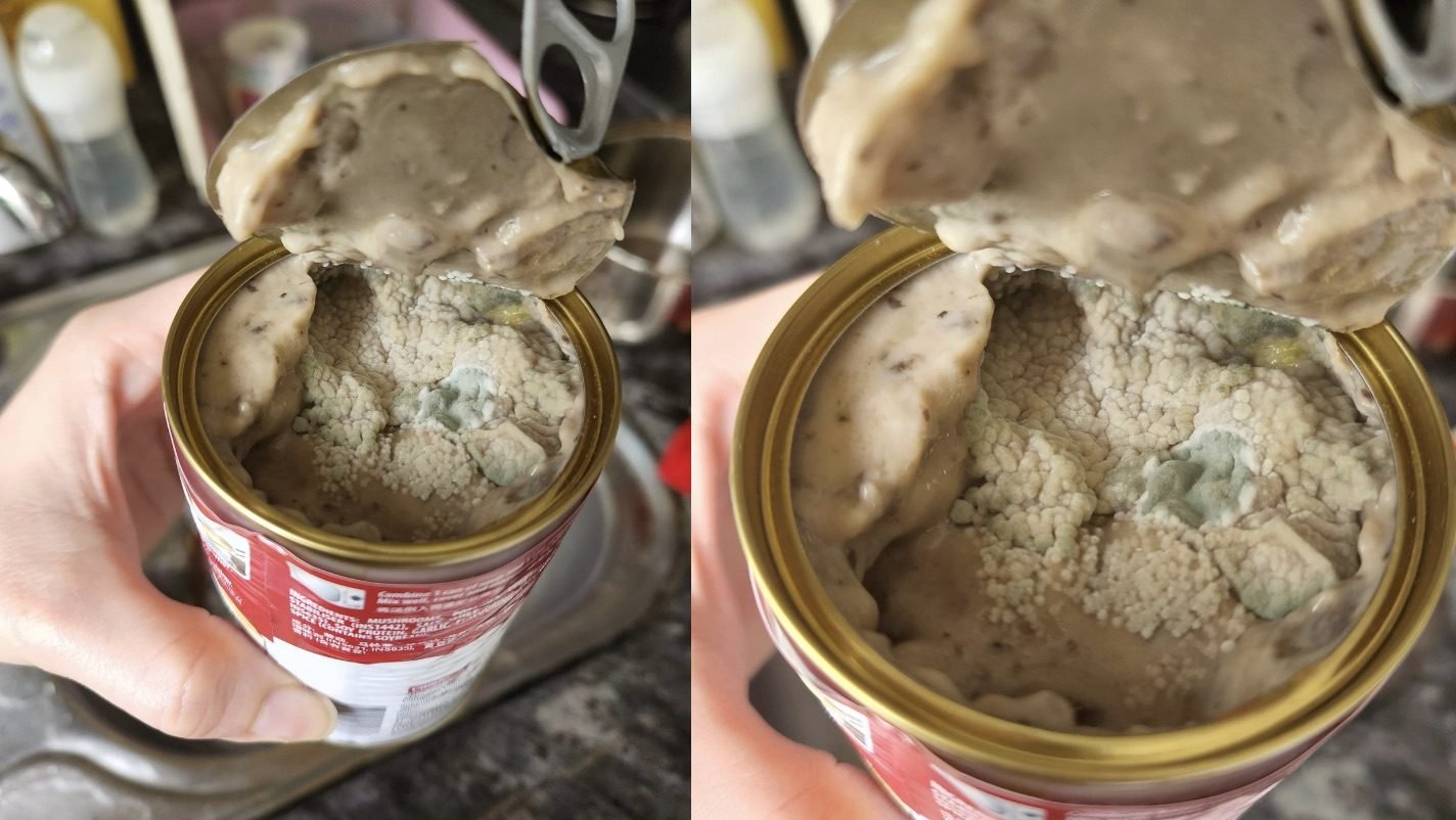 Customer shocked to open a can of mouldy mushroom soup she bought from the store