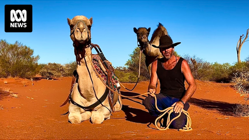 Dare from friend launches camel driver's career training animals for Cable Beach tourist train